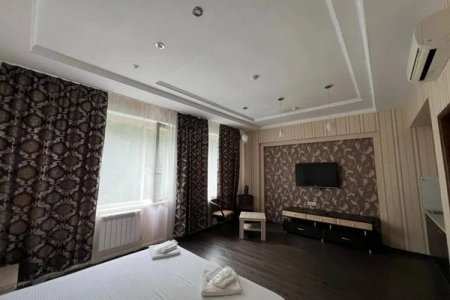 Общий вид номера Люкс с кухней в отеле Автор Люблино